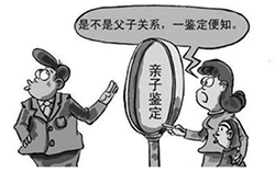 内蒙古毛发可以做亲子鉴定吗，个人亲子鉴定收费多少