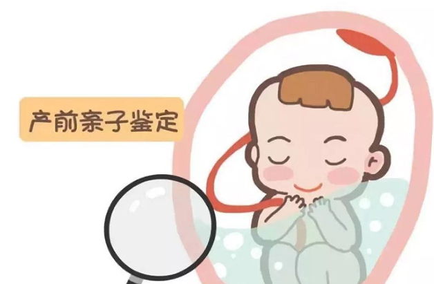 内蒙古胎儿亲子鉴定条件和材料, 内蒙古胎儿亲子鉴定条件和材料,