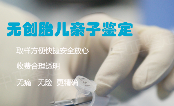 内蒙古怀孕几个月如何做孕期亲子鉴定, 内蒙古怀孕几个月如何做孕期亲子鉴定,